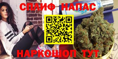 ECSTASY Канаш
